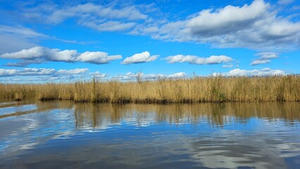 Fototapeta premium a beautiful blue lake, in the distance a small island overgrown with grass