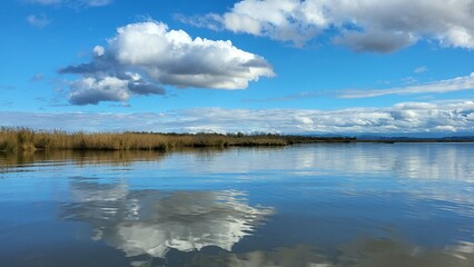 a beautiful blue lake, in the distance a small island overgrown with grass