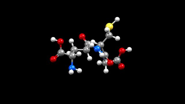 Structure of glutathione. Animated 3D ball-and-stick and space-filled models, black background.