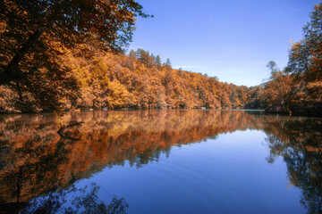 Autumn colors trees and lake landscape