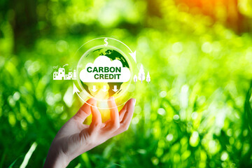 Carbon Credit Market and Net Zero. Carbon credit icon in hand on nature green background. There is increased investment in carbon trading markets. Environmental protection, energy neutral..