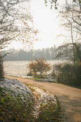 Fototapeta premium Rural road in the sunlight with one tree and a field in the background, Dortmund, North Rhine-Westphalia, Germany