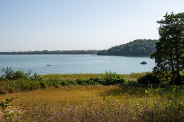Idyllic view of Feldberger Seenlandschaft in Germany