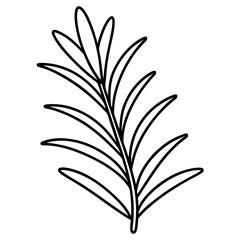 Line art of a Rosemary icon. Vector illustration 
