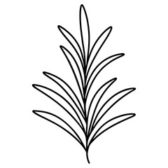 Line art of a Rosemary icon. Vector illustration 
