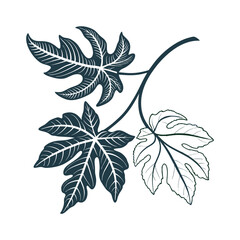 Illustration of a branch with leaves