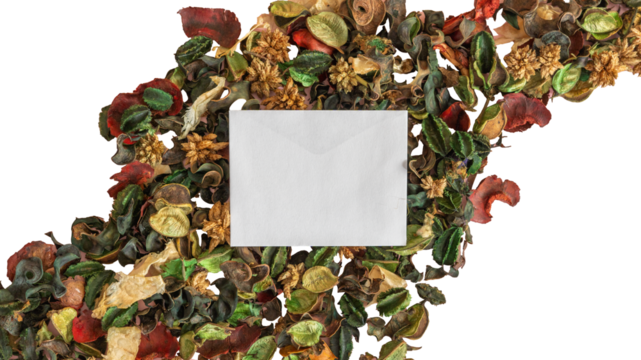 A white card is placed in the middle of a pile of dried leaves and flowers. The card is blank and the leaves are scattered around it. Romantic concept of nostalgia and the passing of time.