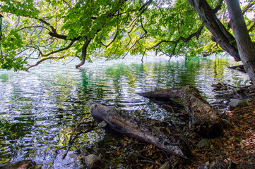 Idyllic view of Feldberger Seenlandschaft in Germany