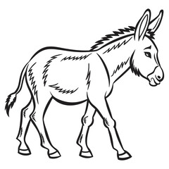 A vector illestration of Donkey 