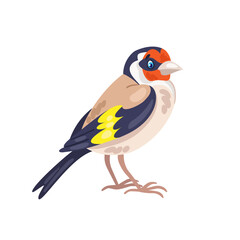 Goldfinch bird. Isolated on white background. Vector flat illustration.