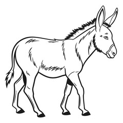 A vector illestration of Donkey 