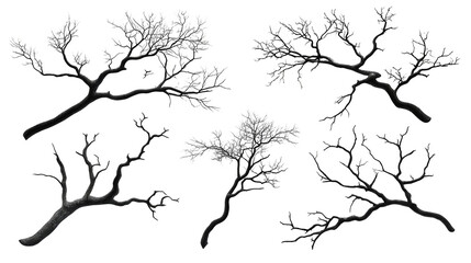 Closeup of four flowering branches, a detailed depiction of spring's delicate floral beauty in nature