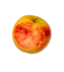 Close up of apple type with red, white, yellow and pink pulp inside