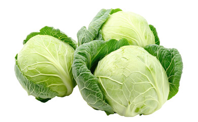Fototapeta premium Three whole raw and fresh cabbages on transparent background