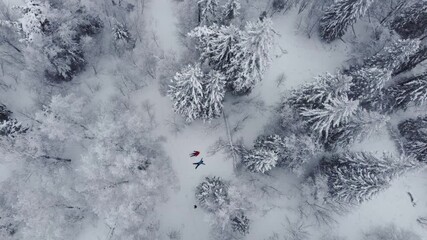 A couple in love lies in the snow in a winter fairy forest