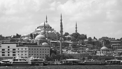 Obraz premium Cityscape Skyline Black White Wide View Historic Architecture Landscape