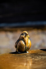Miniature statue of metal bronze color bird