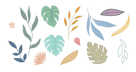 Fototapeta premium Abstract design elements set of flat exotic leaves