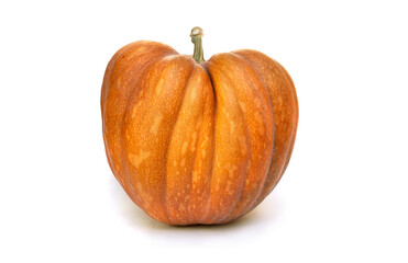 Nutmeg big pumpkin on a white background with space for text