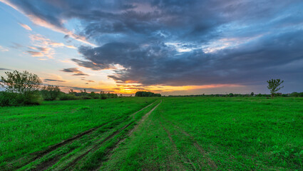 Fototapeta premium Field with a dirt road in the middle and a cloudy sky