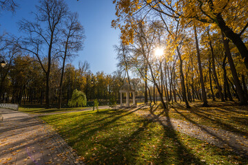 Fototapeta premium A park with a large tree in the middle and a bench in the foreground