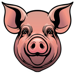 Colored Drawing of Piggy Head Isolated on White Background - Illustration from Front View, Vector