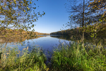 Obraz premium A lake with a forest in the background