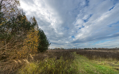 Obraz premium A field with trees and grass in the background