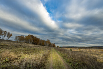Fototapeta premium A field with a dirt road in the middle of it