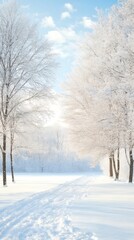 Obraz premium A snowy path lined with frosty trees under a clear blue sky, capturing the essence of winter beauty