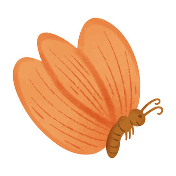 cartoon of orange butterfly obn transparant background