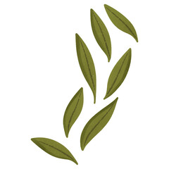 green leaves illustration composition on transparant background