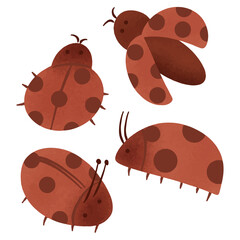 ladybugs illustration on transparant background