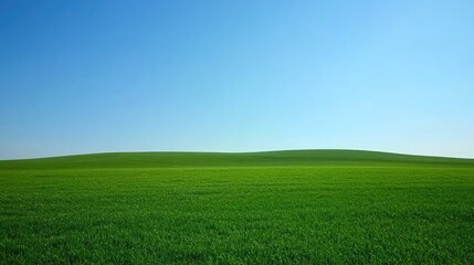 Obraz premium Lush Green Landscape Under Clear Blue Sky