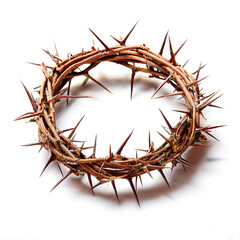crown of thorns isolated on white background