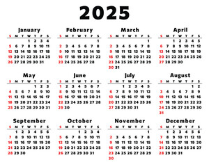 2025 year english vector calendar. Design with 12 months