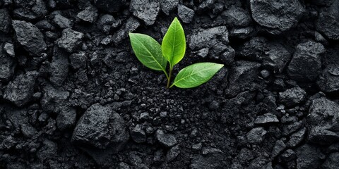 Naklejka premium Biochar carbon storage Illustrations, stock photos