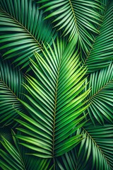 texture background with green big leaves top view 