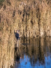 fishing