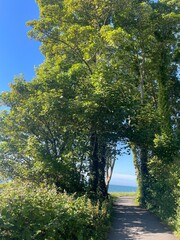 Obraz premium Helen’s bay Bangor sunny walk
