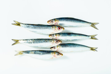fish fresh raw anchovies on white . close up. cooking recipe , fish market