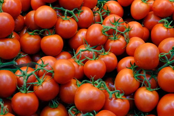 Close-up photo of red, healthy bunches of tomatoes in a pile at the grocery store. Lycopene is a source of antioxidants. Healthy eating. Winter fruits. Fruit pric