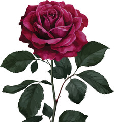 Fototapeta premium Bouquet of red roses