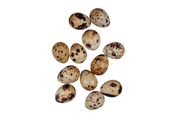 A group of quail eggs isolated transparent