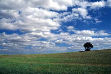 Road to Albi, France