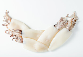 raw fresh whole squid on white. close up. cooking, fish market