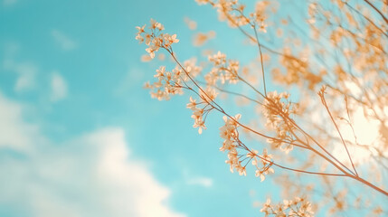 Naklejka premium Delicate flowers on slender branches sway gently against a vibrant blue sky, capturing a serene moment in nature with soft, warm hues.
