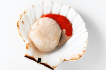 scallops on white. close up. cooking, fish market