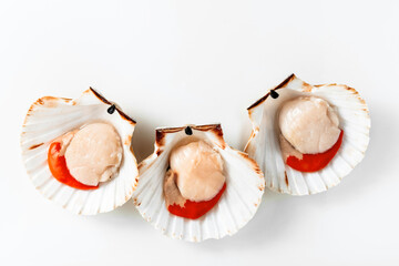 scallops on white. close up. cooking, fish market