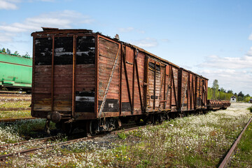 Obraz premium An abandoned railway track overgrown with vibrant wildflowers. industrial freight trains